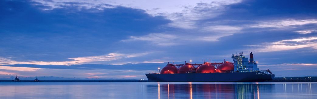 LNG Export Facility Asset Performance Maintenance Strategy Value