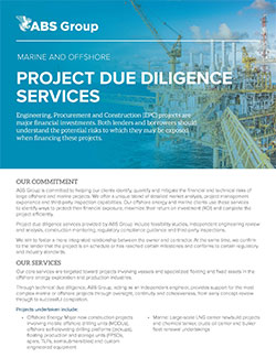 Project Due Diligence