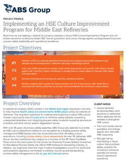 Project Profile - HSE Culture Improvement Program